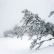 В Курской области 30 января ожидаются снегопады, метели, снежные заносы и до -8 градусов