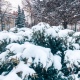 Новая неделя в Курской области начнется с мокрого снега, метелей и потепления до +3 градусов