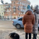 В Курске в 2022 году планируют отловить 1629 бродячих собак