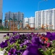 В Курской области в рамках «Народного бюджета» реализуют 372 проекта на 900 млн рублей