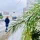 В Курской области 17 февраля ожидаются снег, дождь, ветер, туман и до 6 градусов тепла