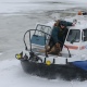 В Курске на реке Тускарь спасли провалившуюся под лёд собаку