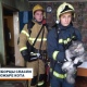 На пожаре в многоэтажке на проспекте Победы Курска спасены 20 человек и кот