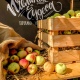 Мэрия Курска ищет арендаторов для четырех ярмарочных площадок
