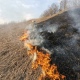 В Курской области участились возгорания сухой травы