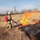 В Курской области пожарные отстояли село от огня