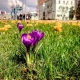 В Курской области 14 апреля ожидается ветреная погода и до 14 градусов тепла