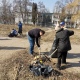 Жителей Курска приглашают убирать улицы и сажать деревья
