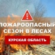 В лесах Курской области объявлен пожароопасный сезoн