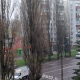 В Курске на проспекте Дружбы в ДТП с грузовиком пострадал водитель