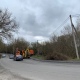 В Курске на «пьяной дороге» вырубают деревья