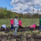 В Обоянском районе Курской области высадили 3 гектара леса