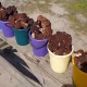 В Курской области грибники продают строчки ведрами