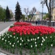 В Курской области 14 мая ожидаются небольшие дожди и до +20 градусов