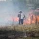 В Курске нашли и наказали виновника пожара на площади 8 гектаров