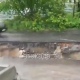 В Курске на улице Димитрова из-за дождя провалился асфальт