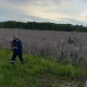 Курянка, искавшая собаку, заблудилась в зарослях камыша