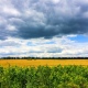 Какая погода ожидается в Курской области на выходных