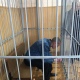 Под Курском в драке убит пенсионер