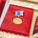 В Курске 5 кандидатов на награждение медалью «Во славу отцовства»