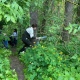Эковолонтеры провели в Курске субботник