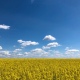 Курская область заняла 4-ю строчку Всероссийского экологического рейтинга