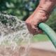 В Курске из-за жары потребление воды выросло в 2,5 раза