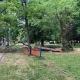 В Курске упавшее в парке Бородино дерево превратили в игровую зону