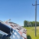 В Курской области перевернулась фура со свиньями