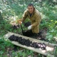 В Курской области в лесу нашли взрывоопасный схрон с 48 снарядами