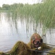 В Большесолдатском районе Курской области в пруду утонул мужчина