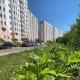 Курян просят сообщать о борщевике и амброзии