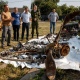 В создании памятника мемориала «Курская битва» используют обломки военной техники