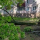 Сегодня в Курской области ожидают шторм с грозами