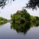 «Клевенский лес» Курской области стал особо охраняемой природной территорией