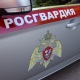 Под Курском Росгвардия задержала пенсионера, пытавшегося забраться в окно чужого дома