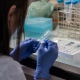 В Курске суд отказал заразившейся коронавирусом медсестре в ковидной выплате