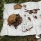 В Курске найдены останки расстрелянных людей