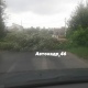 В Курске упавшее дерево перегородило улицу
