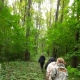 В Курской области поисковики нашли заблудившуюся в лесу девушку