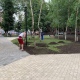 В сквере на площади Перекальского в Курске высадят 26 деревьев и 40 кустарников