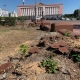 В Курске рядом с главпочтамтом вырубили кусты сирени