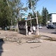 В центре Курска на женщину на остановке рухнула береза