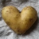 Жители Курской области вырастили картошку в виде сердца и помидор с лепестками