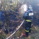За неделю в Курской области трижды спасли леса от пожаров