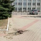 В центре Курска на тротуаре ширится провал