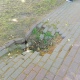 В Курске в парке Бородино провалился тротуар