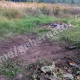 Подвергся обстрелу ВСУ приграничный поселок Теткино Курской области