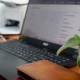 Жителей Курской области приглашают написать экономический диктант