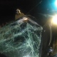 Под Курском возле Беседино улетела с трассы машина, ранены две девушки